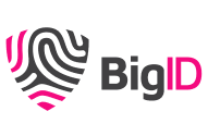 Logo_BigID Gray-Pink Horizontal 1
