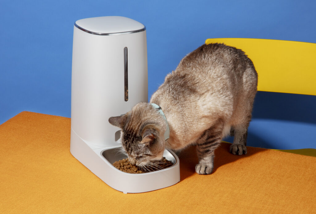 Gato cinza se alimentando em um comedouro automatizado com pet tech